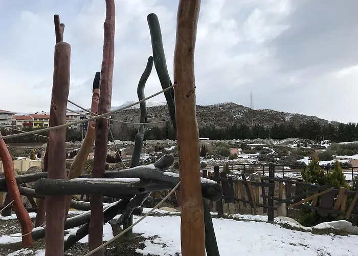 Pirenarium Vandrarhem *